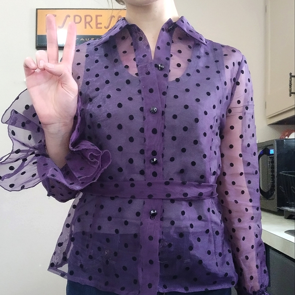 Sheer Blouse